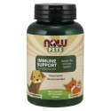 Immune Support Chewables for Dogs and Cats