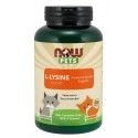 L-Lysine for Cats Powder