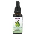 Tamanu Oil, Organic