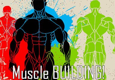 For My Temple Muscle Building
